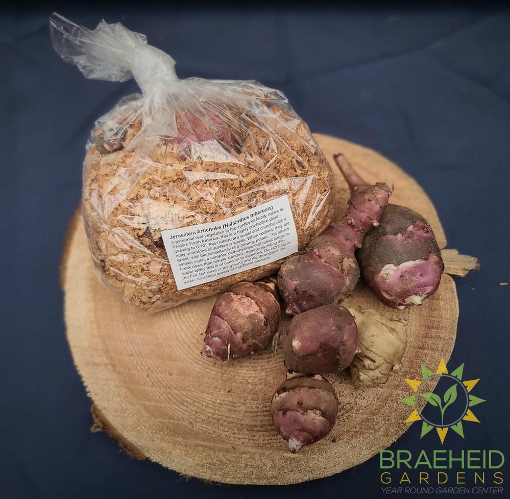Jerusalem Artichoke