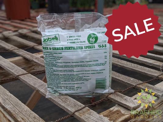 Jobes Tree & Shrub Fertilizer Spike