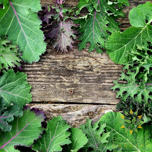 Kale Mix
