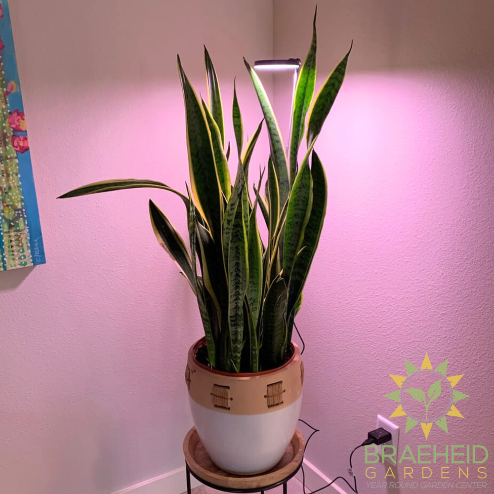 28" Adjustable LED Plant Light