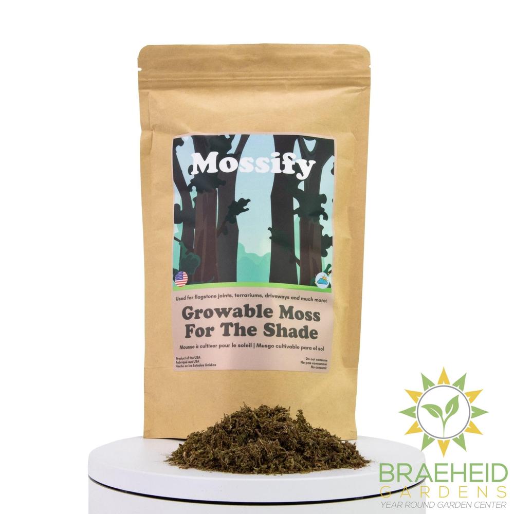 Growable Moss for the Shade