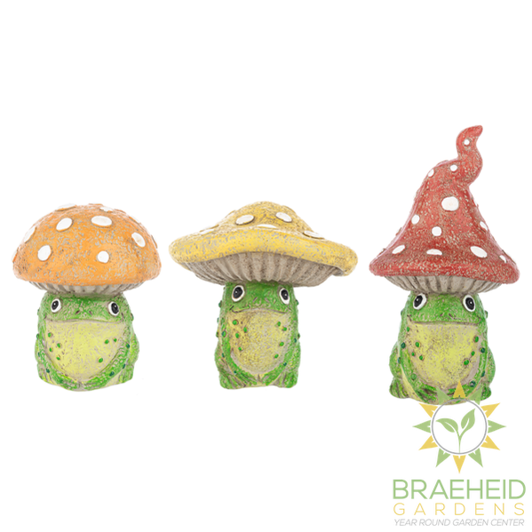Frog with mushroom hat