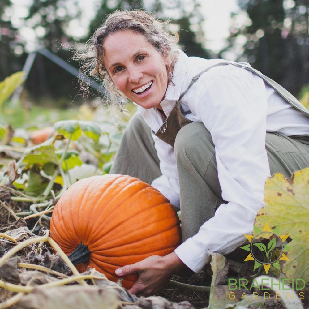 Howden Pumpkin