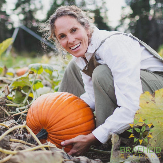 Howden Pumpkin