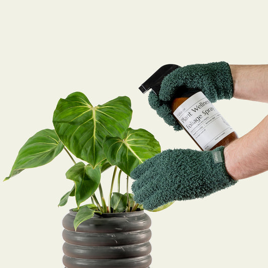 Microfiber Plant Dusting Gloves