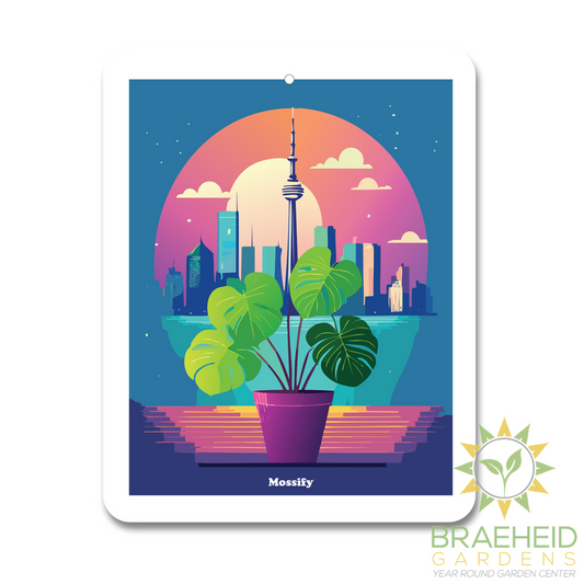 Mossify Air Fresheners