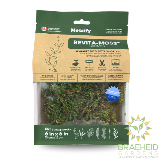 Mood Moss - Revita-Moss (Dicranum)