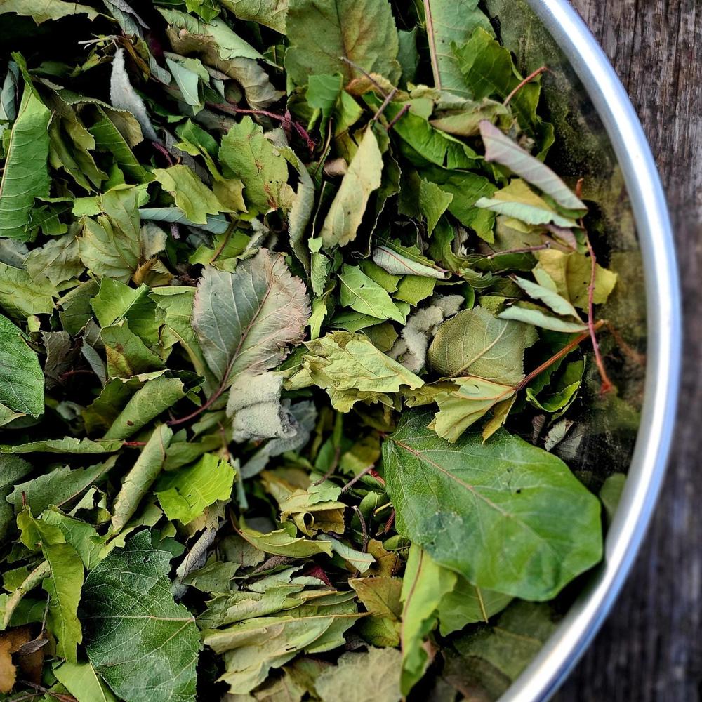 Orchard Experience Mix