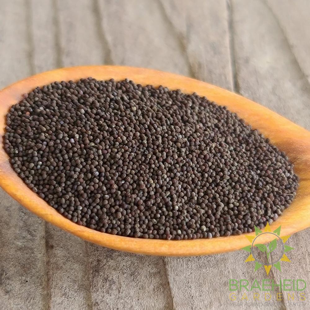 Poppy Mix