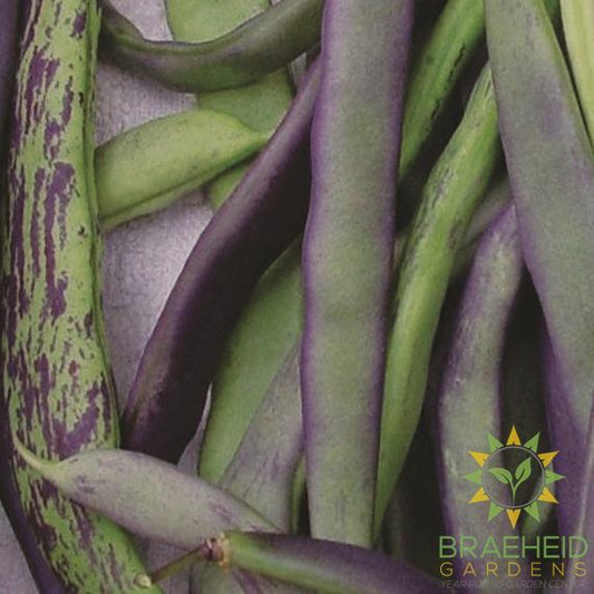 Pole Bean Mix