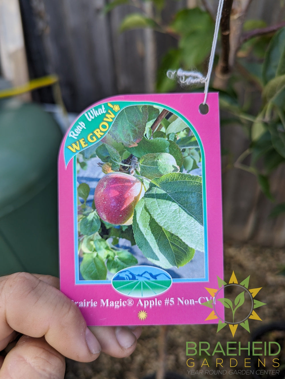 Beginners Zone 2 - Fruit Tree Orchard Bundle