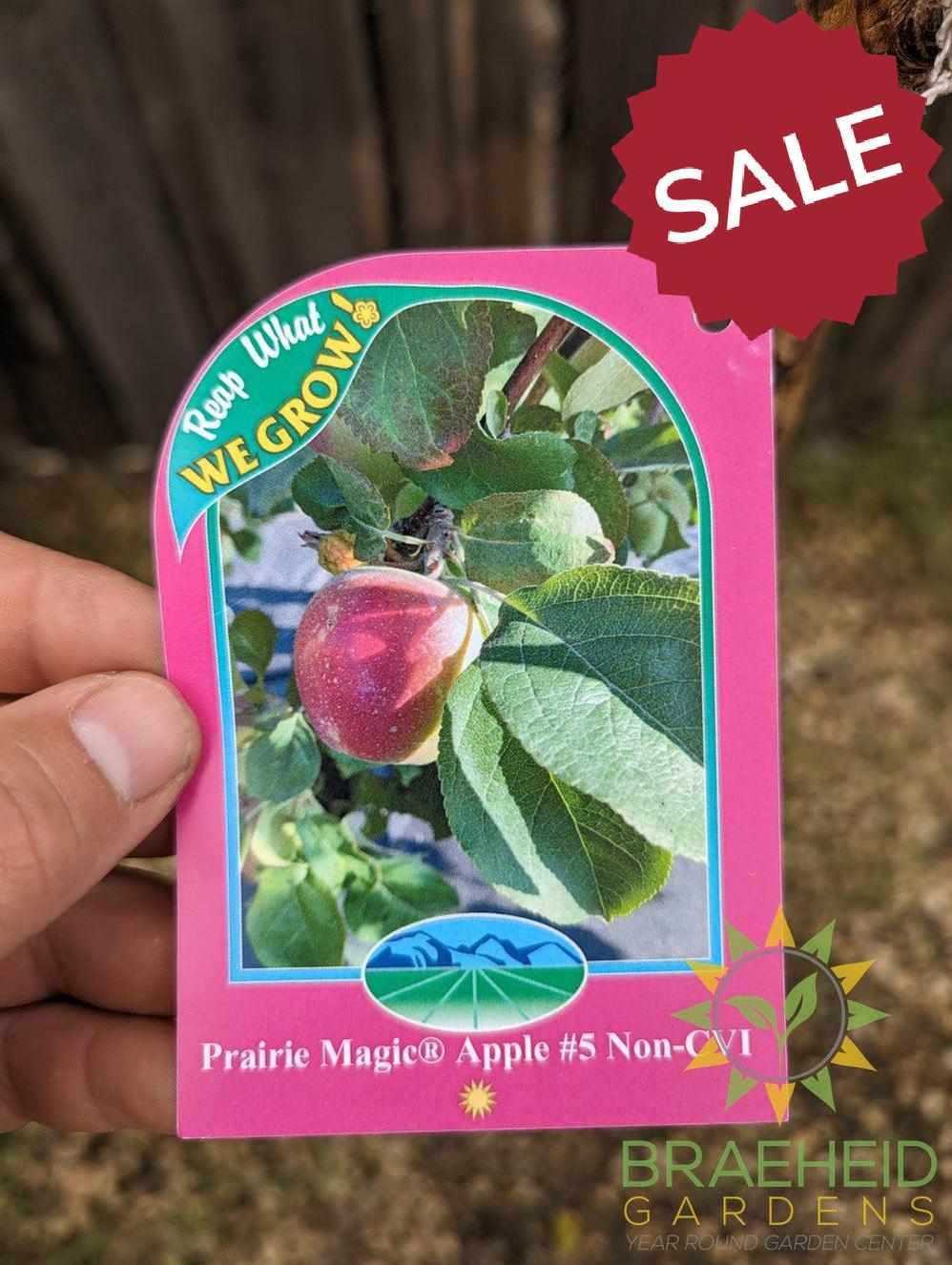 Prairie Magic® Apple- Tree for sale, Grown in Grande Prairie -Braeheid Gardens Ltd. on Emerson Trail
