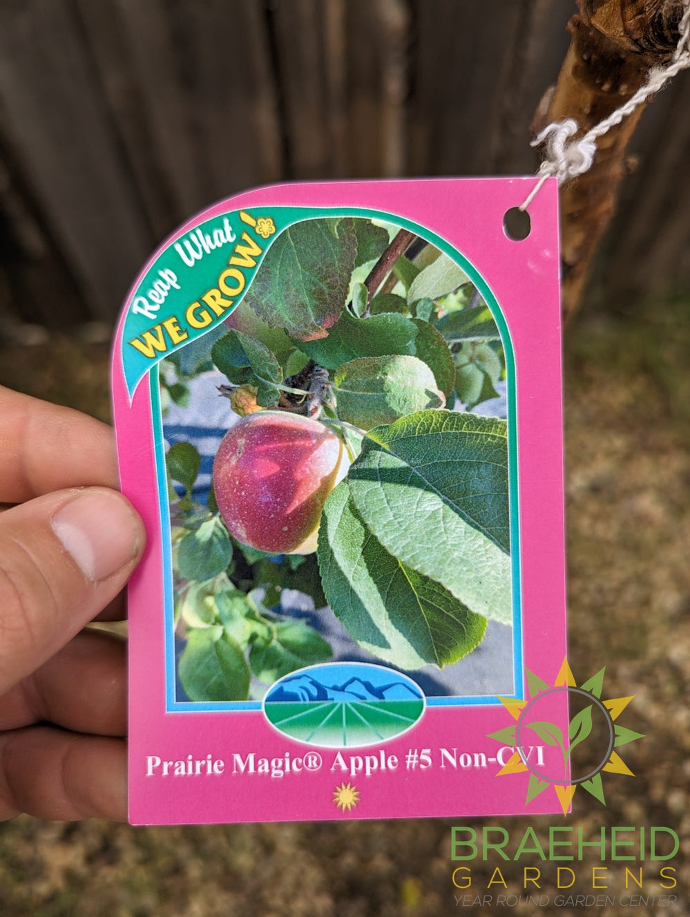 Prairie Magic® Apple