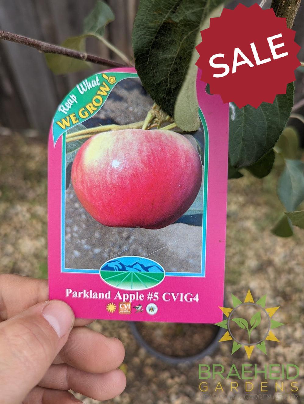 Parkland Apple- Tree for sale, Grown in Grande Prairie -Braeheid Gardens Ltd. on Emerson Trail