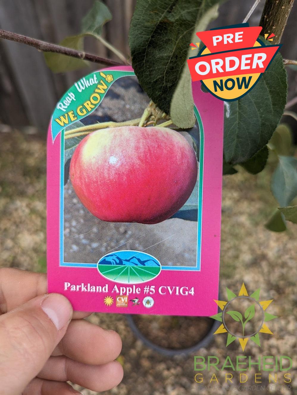 Parkland Apple- Tree for sale, Grown in Grande Prairie -Braeheid Gardens Ltd. on Emerson Trail