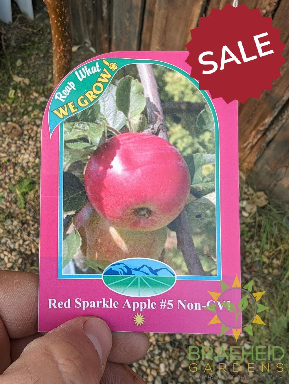 Red Sparkle Apple- Tree for sale, Grown in Grande Prairie -Braeheid Gardens Ltd. on Emerson Trail