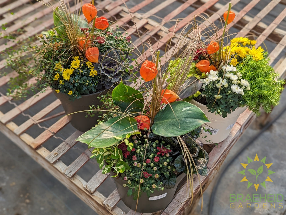 Spellbound Mix Fall Planter