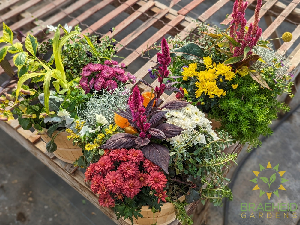 Apple Basket Fall Planter