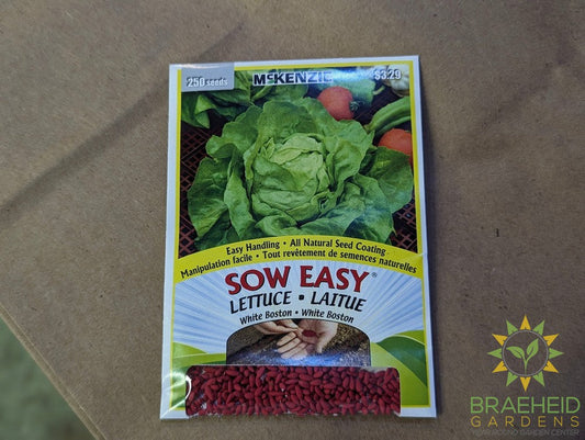 Lettuce white Boston Mckenzie Seed Sow Easy