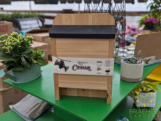 Cedar - Bat House single chamber