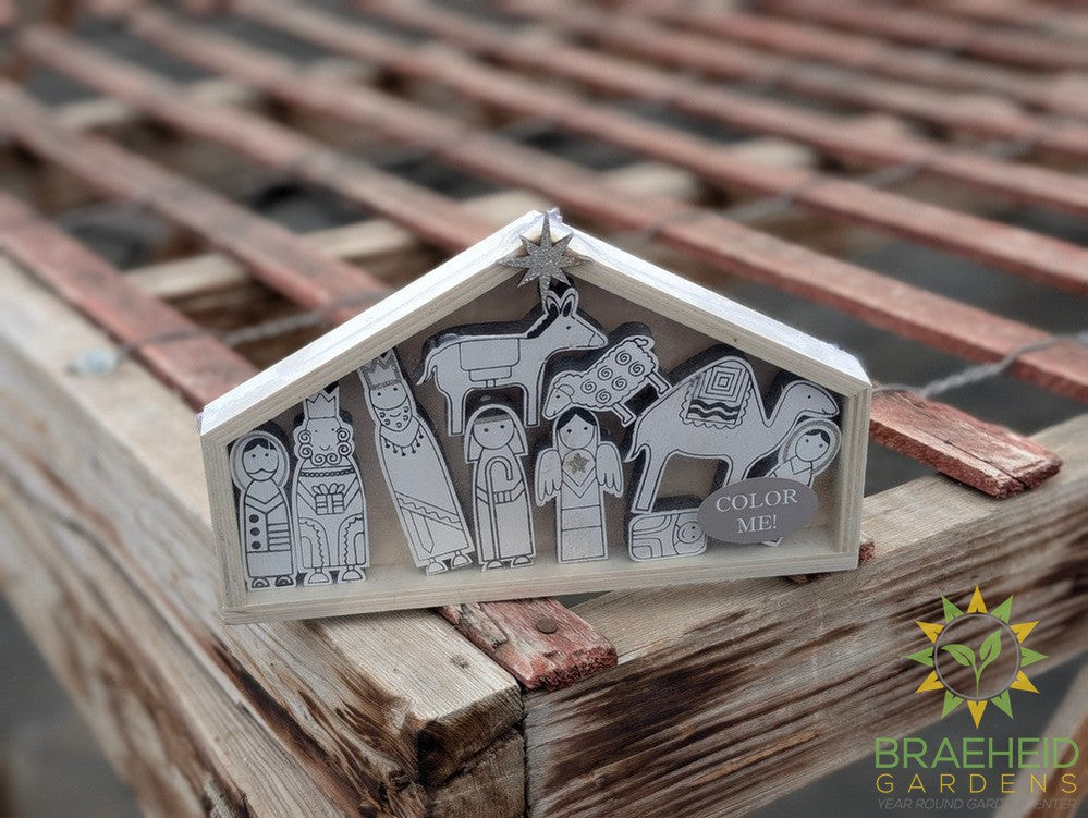 Color Me! - Nativity set