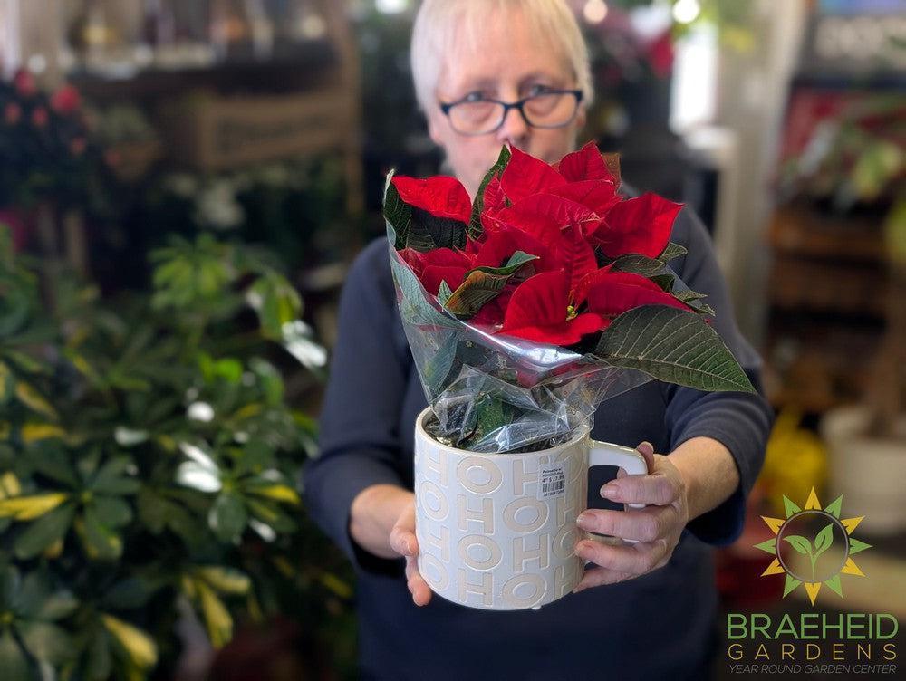 Poinsettia w/ HOHOHO mug