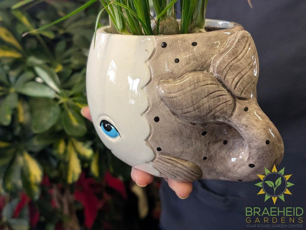 Whale Ceramic w/ Assorted Tropical