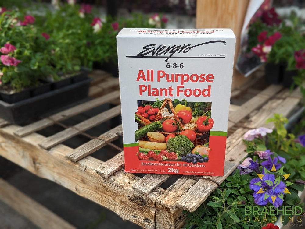 Evergro All Purpose 6-8-6