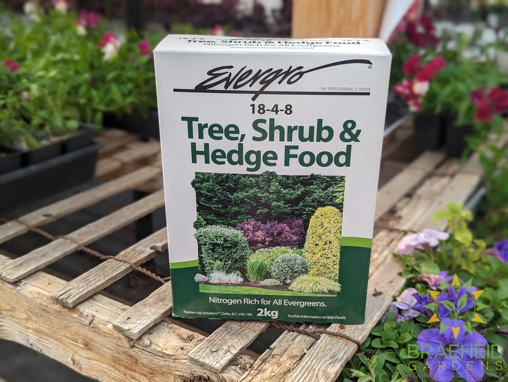 Evergro Tree & Hedge 18-4-8