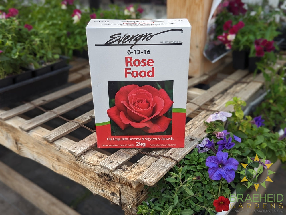 Evergro Rose Food 6-12-16