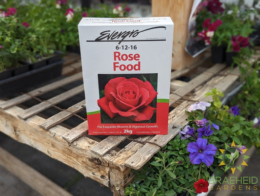 Evergro Rose Food 6-12-16