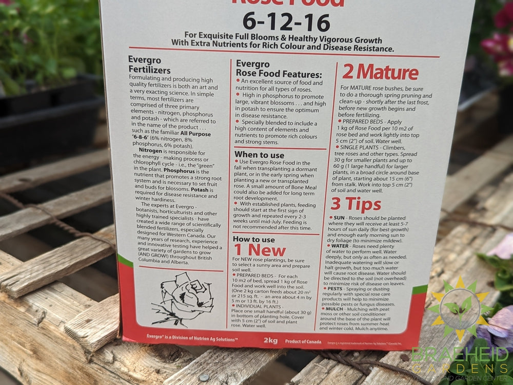 Evergro Rose Food 6-12-16