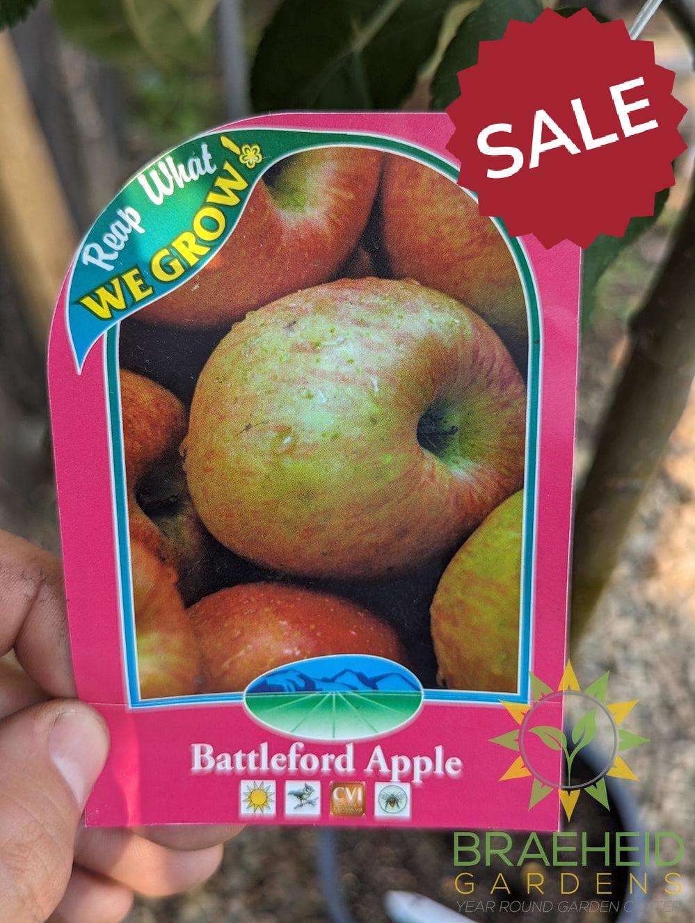 Battleford Apple- Tree for sale, Grown in Grande Prairie -Braeheid Gardens Ltd. on Emerson Trail