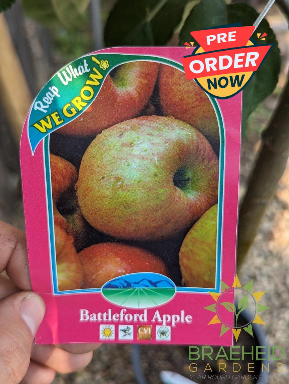 Battleford Apple- Tree for sale, Grown in Grande Prairie -Braeheid Gardens Ltd. on Emerson Trail