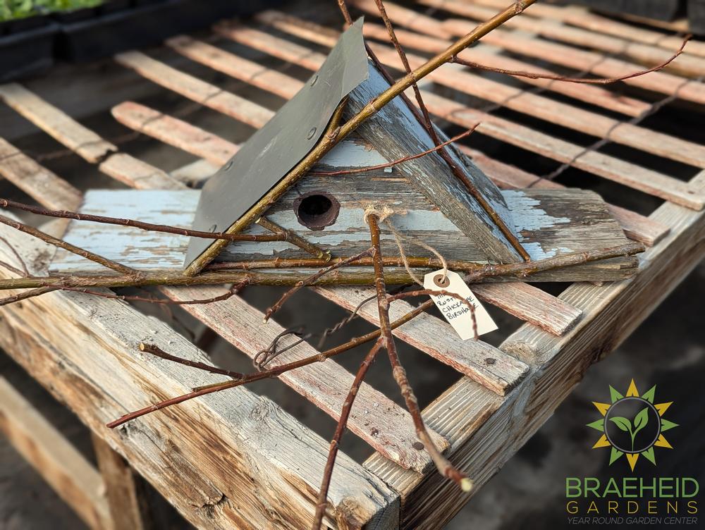 Rustic Chickadee Bird House