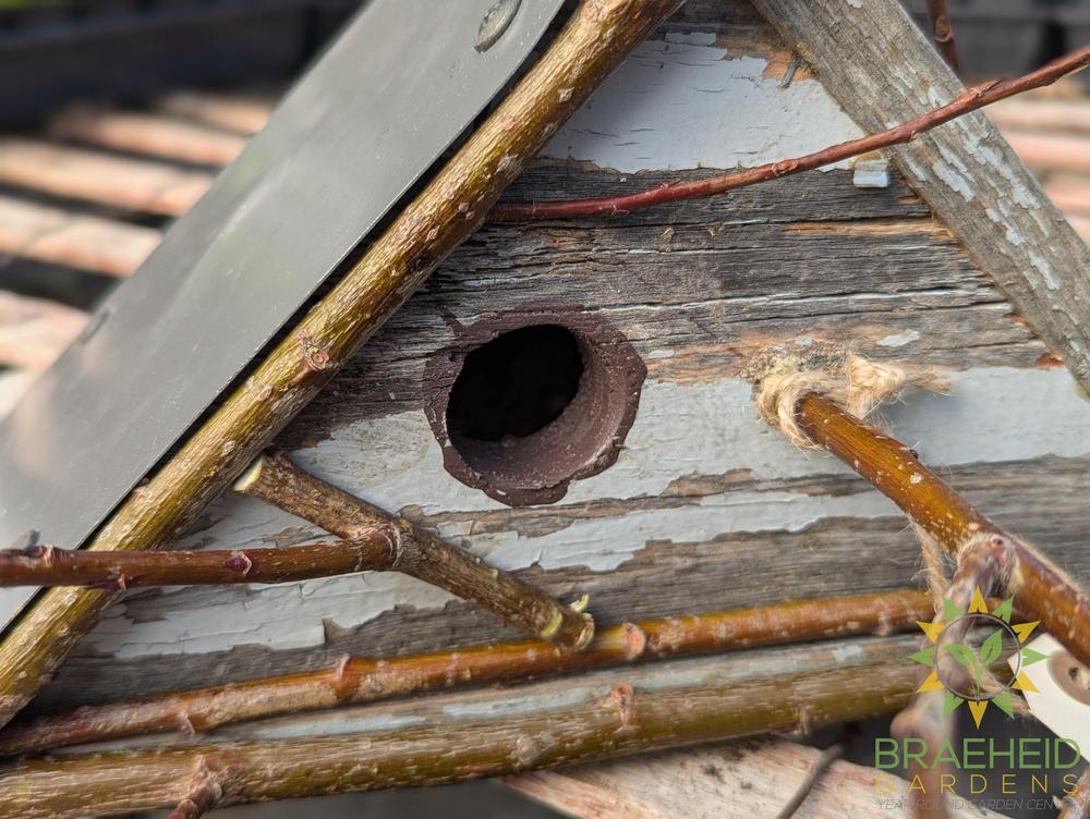 Rustic Chickadee Bird House