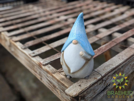 Pastel Glaze Gnome