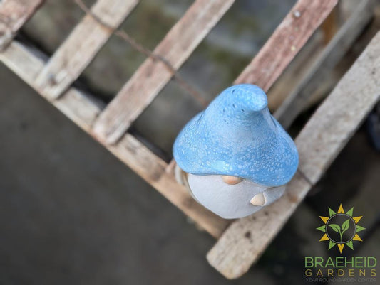 Pastel Glaze Gnome