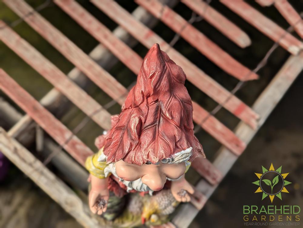 Fili Garden Gnome