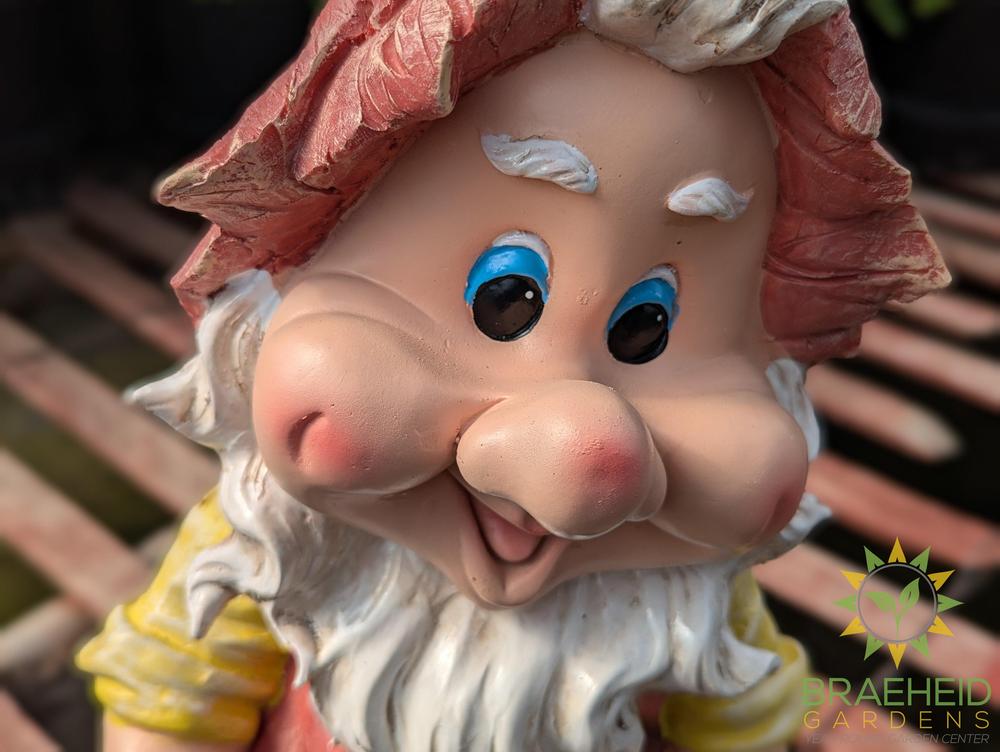 Fili Garden Gnome