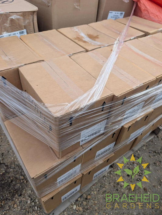 BULK CLEAR OUT Grotek Cal-Max 2 - 0 - 0