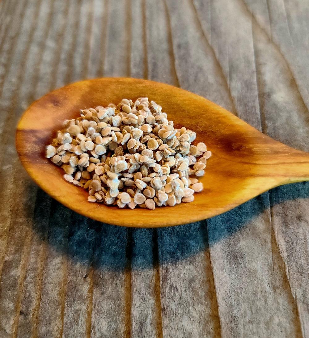 Giant Orange Pear Tomato
