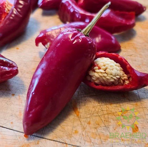 Basque Pepper