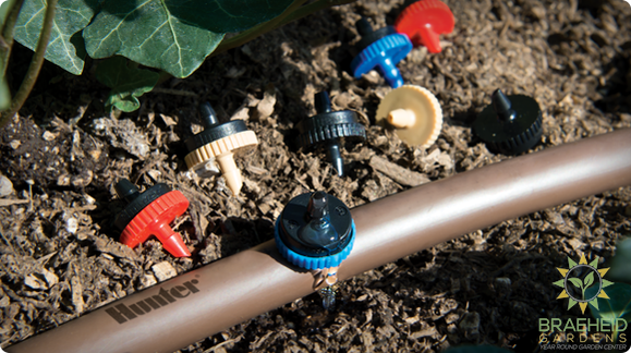 Hunter Point Source Drip Emitters