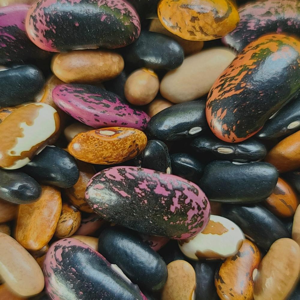 Pole Bean Mix