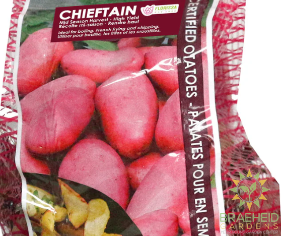 Chieftain Potatoes 2kg