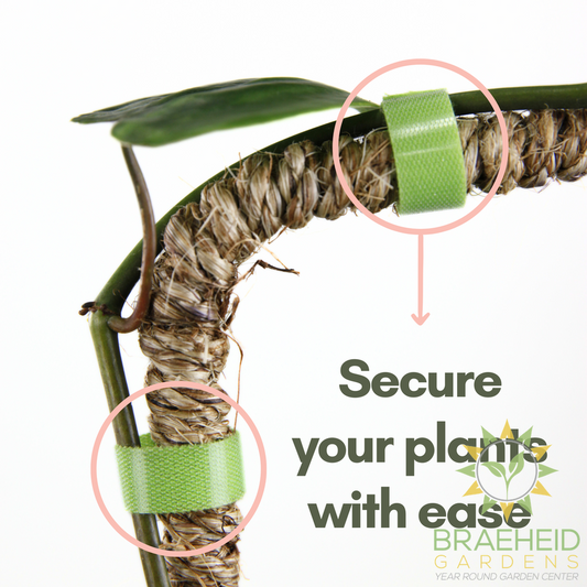 Reusable Plant Tape