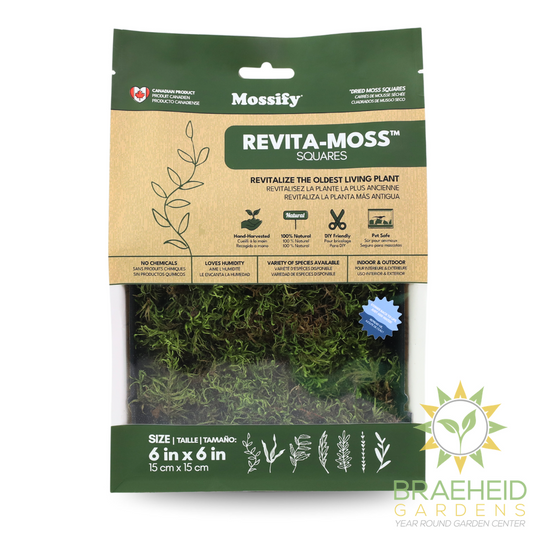Natural Canadian Forest Moss - Revita-Moss™ (Pleurozium schreberi)