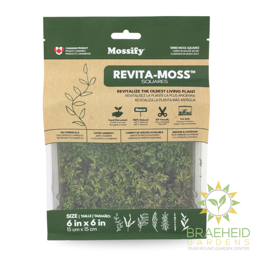 Natural Canadian Forest Moss - Revita-Moss (Pleurozium schreberi)