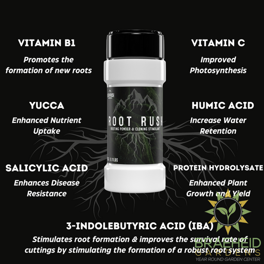 Root Rush Rooting & Cloning Powder